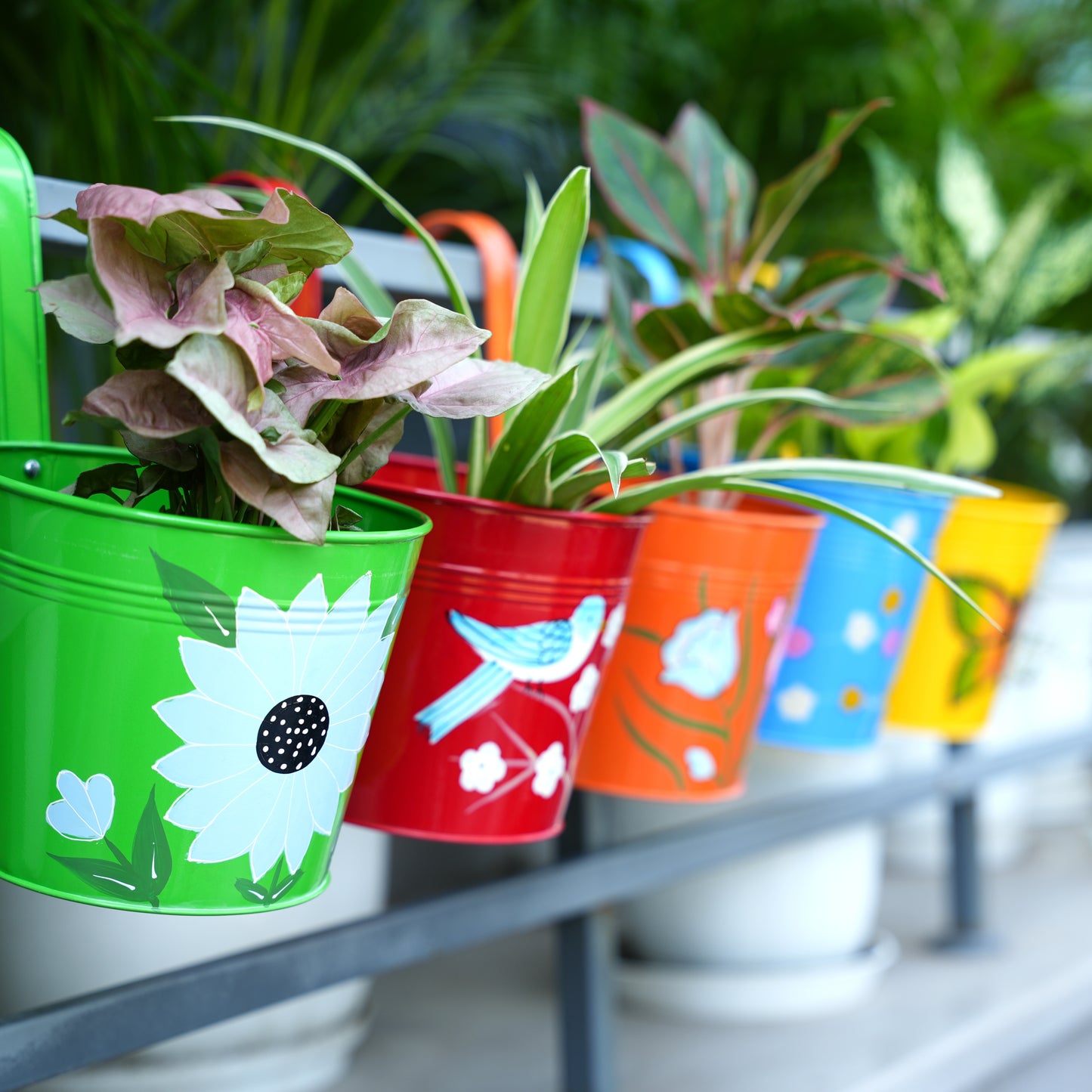 Digital Print Metal Iron Rust Proof Balcony Railing Hanging Flower Pots- Pack of 5