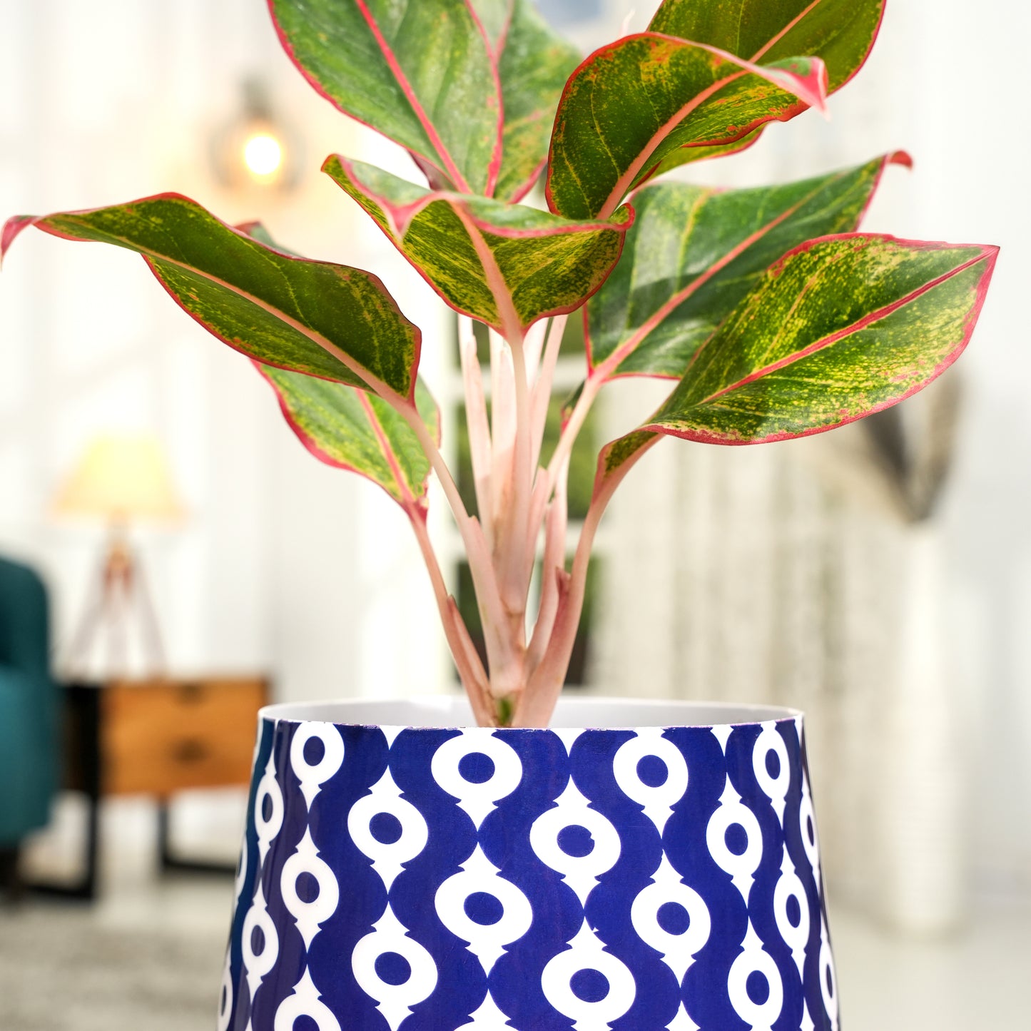 Navy Charm Meena Metal Pot- 5 inches (Only Pot)