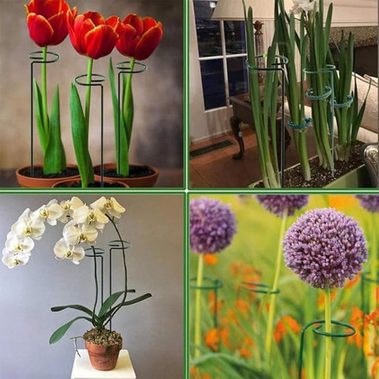 Indoor Round Plant Trellis Outdoor Metal Garden Trellis Houseplants Flowers, Sticks for Plants, Plant Support for Climbers | For Balcony, Living Room Décor, Green - Set of 5