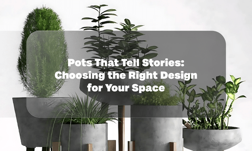 Pots That Tell Stories: Choosing the Right Design for Your Space - Future Roots India