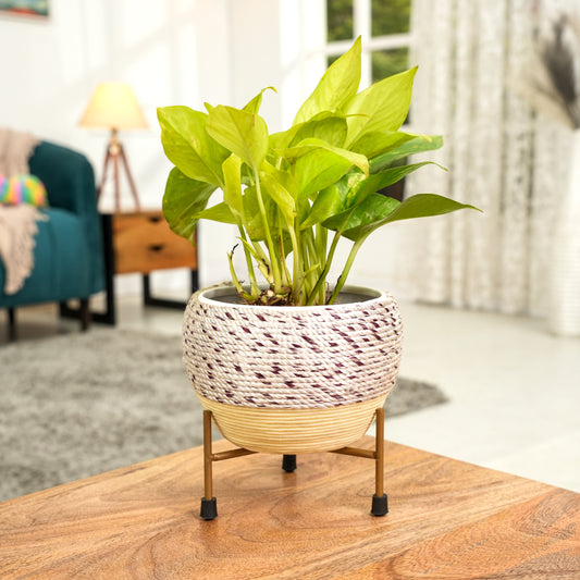 Beige Thread Woven Metal Pot with stand- 5.9 inches (Only Pot)