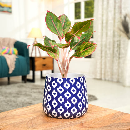 Navy Charm Meena Metal Pot- 5 inches (Only Pot)