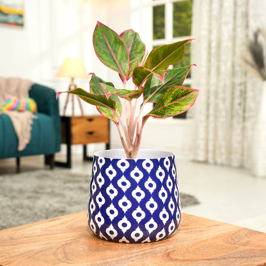 Navy Charm Meena Metal Pot- 5 inches (Only Pot)