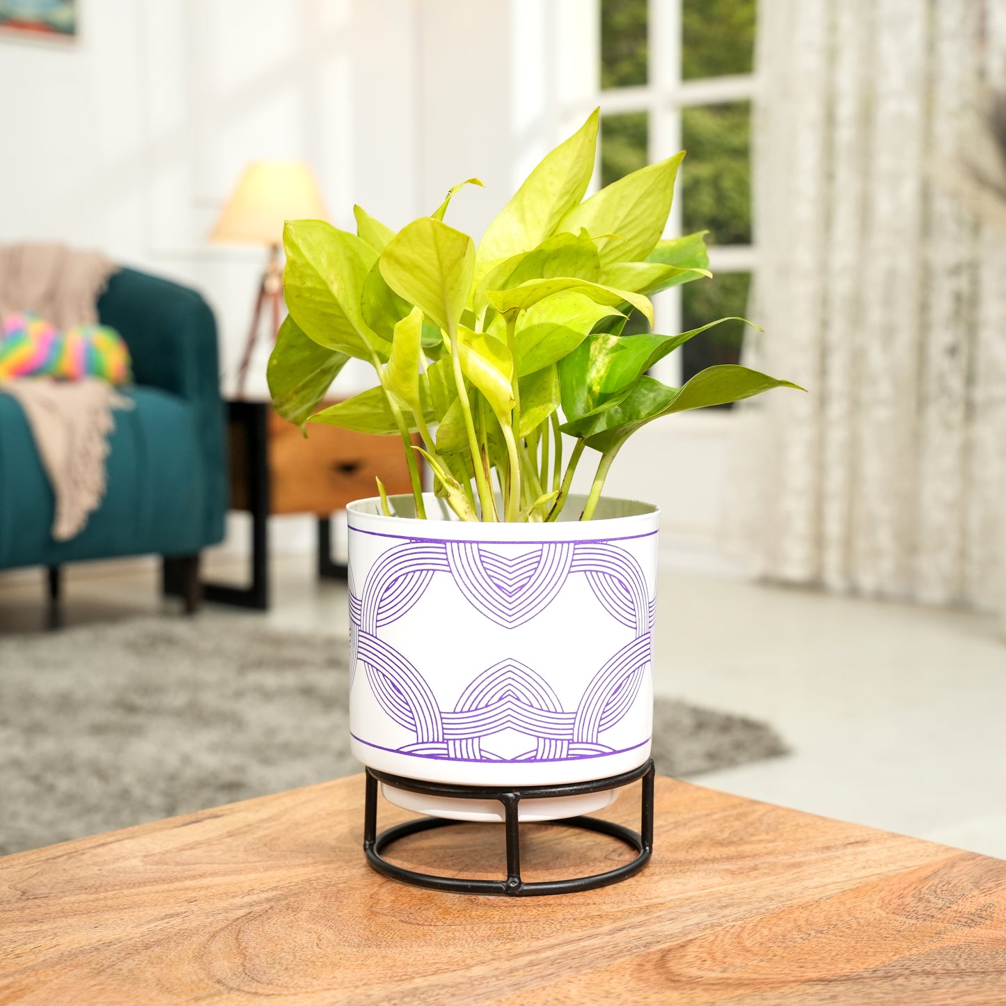 White Leaf Print Metal Pot with stand- 5 inch (Only Pot)