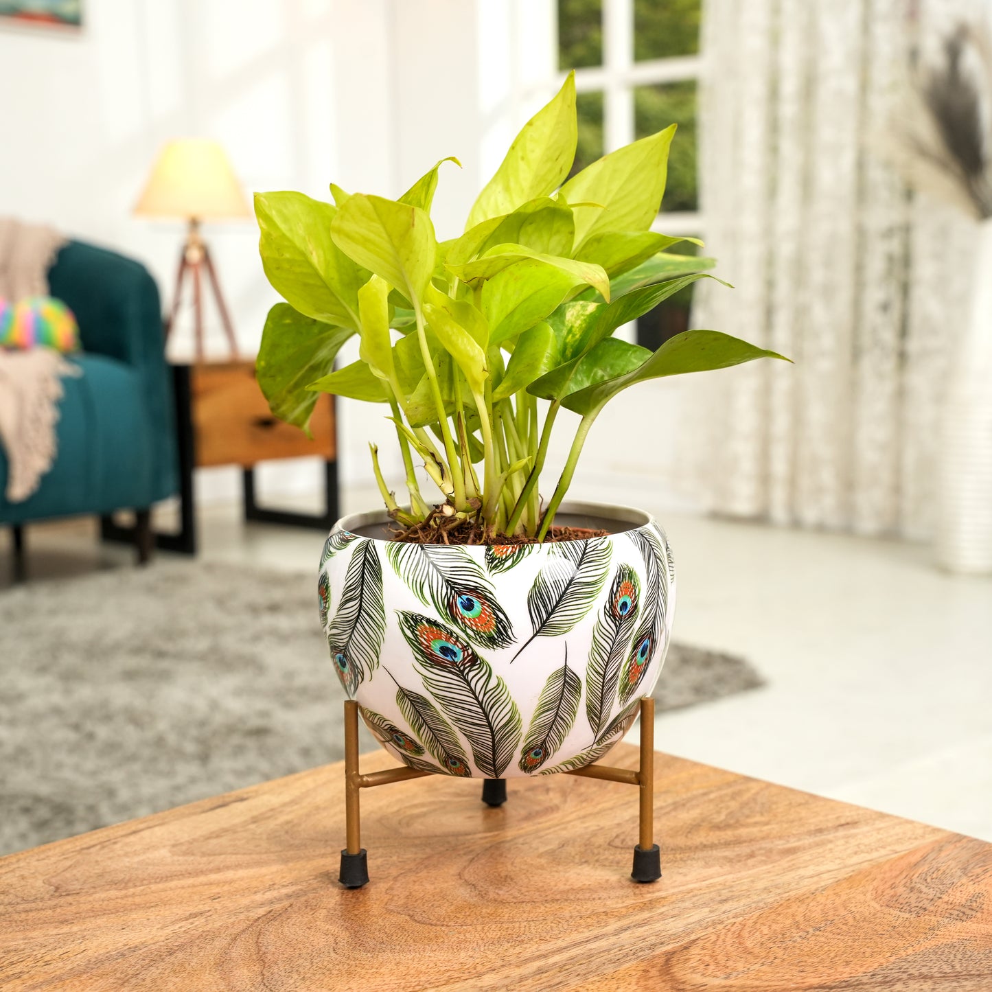Peacock White  Printed Metal Pot with stand- 5 inches (Only Pot)