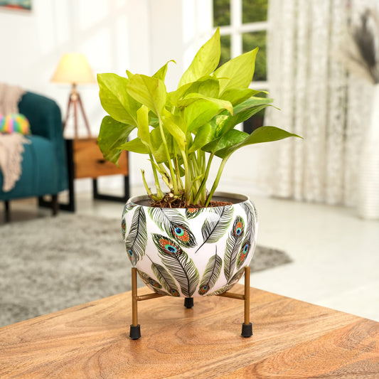 Peacock White  Printed Metal Pot with stand- 5 inches (Only Pot)