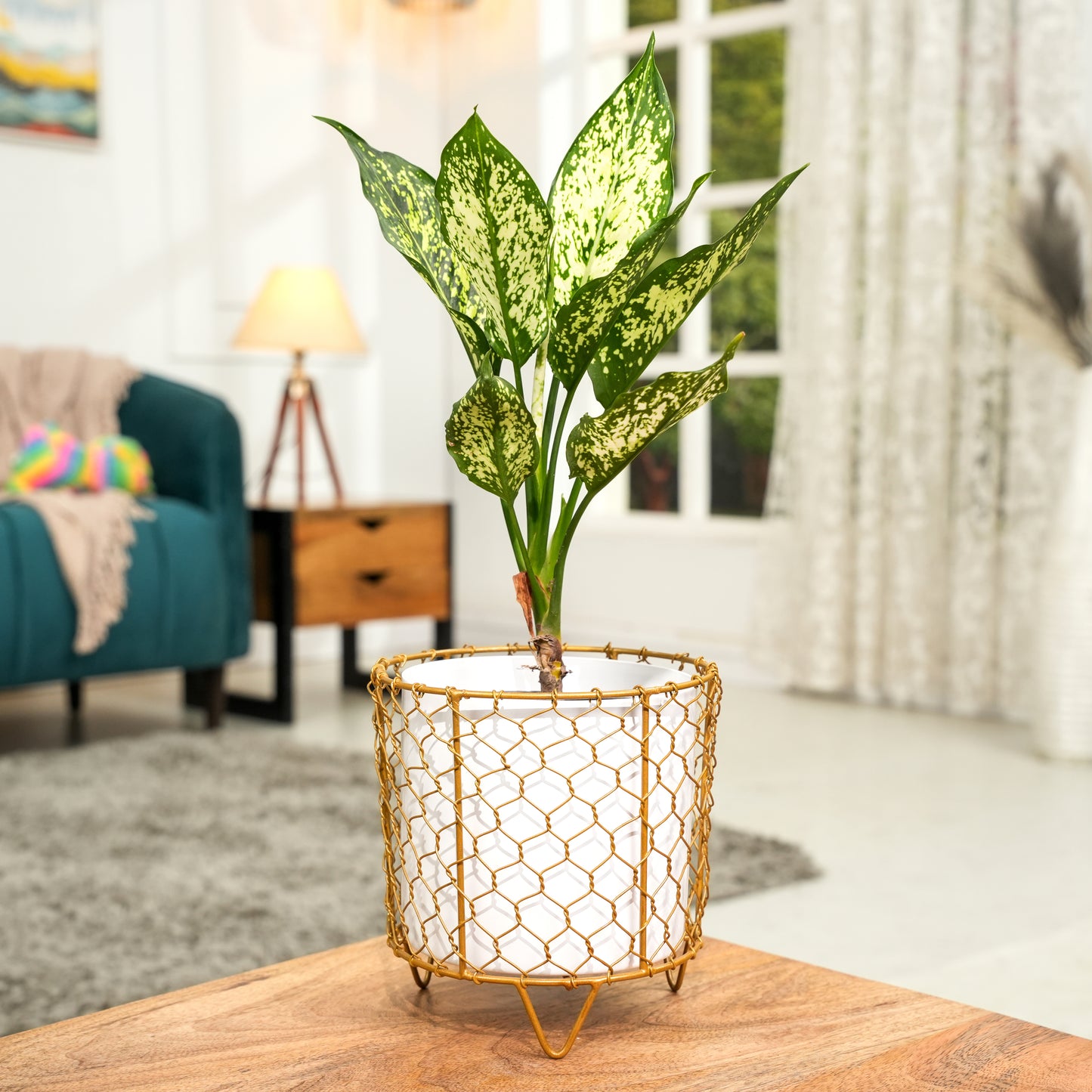 Golden Mesh Metal Pot with stand- 5.9 inches