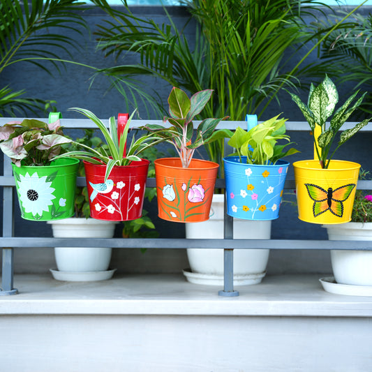 Digital Print Metal Iron Rust Proof Balcony Railing Hanging Flower Pots- Pack of 5