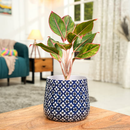 Navy Floral Meena Metal Pot- 5 inches (Only Pot)