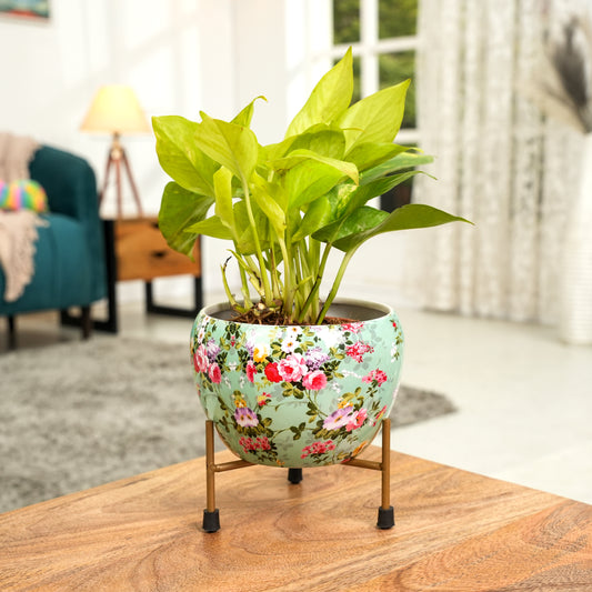 Elegant Blue Printed Metal Pot with stand- 5 inches