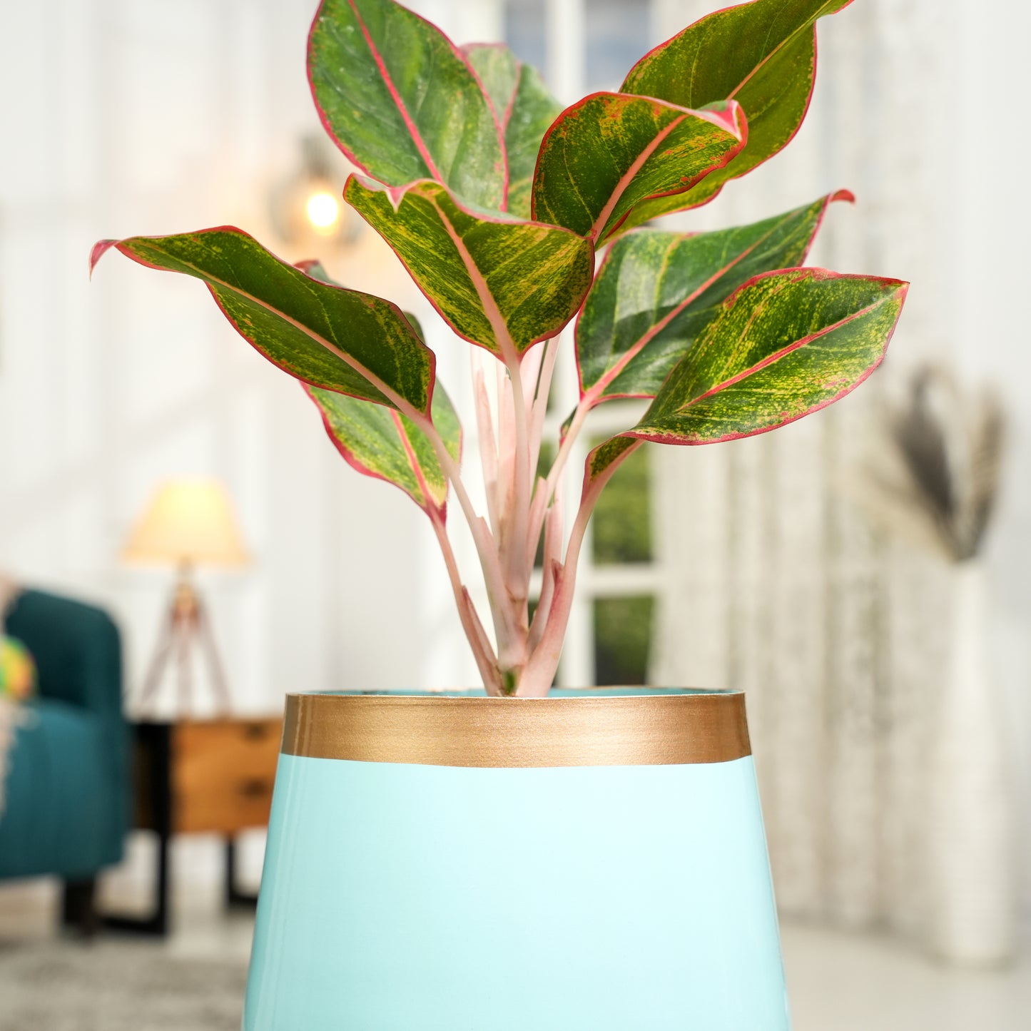 Sky Blue Powder Coated Metal Pot- 5 inches (Only Pot)