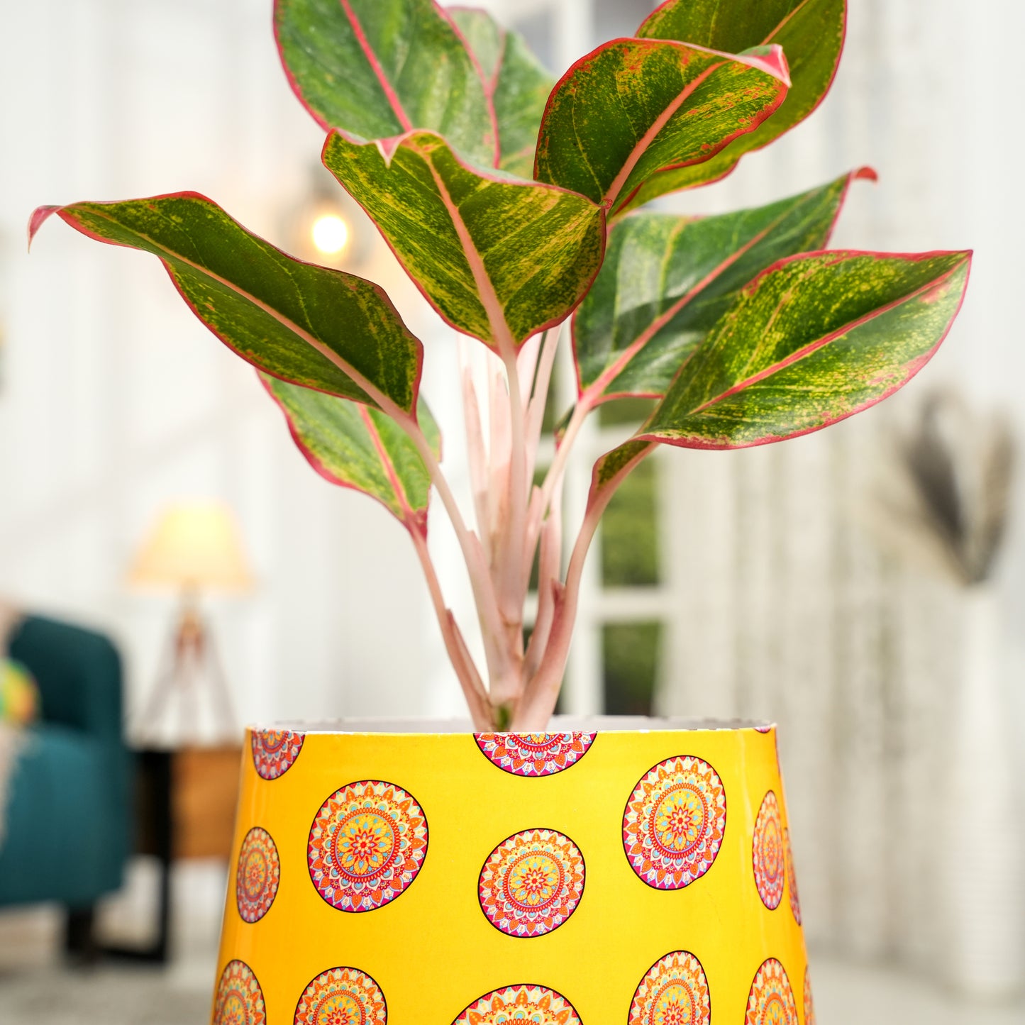 Yellow Mandala Meena Metal Pot- 5 inches (Only Pot)