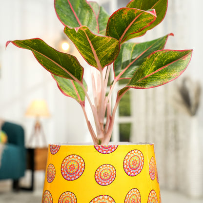 Yellow Mandala Meena Metal Pot- 5 inches (Only Pot)