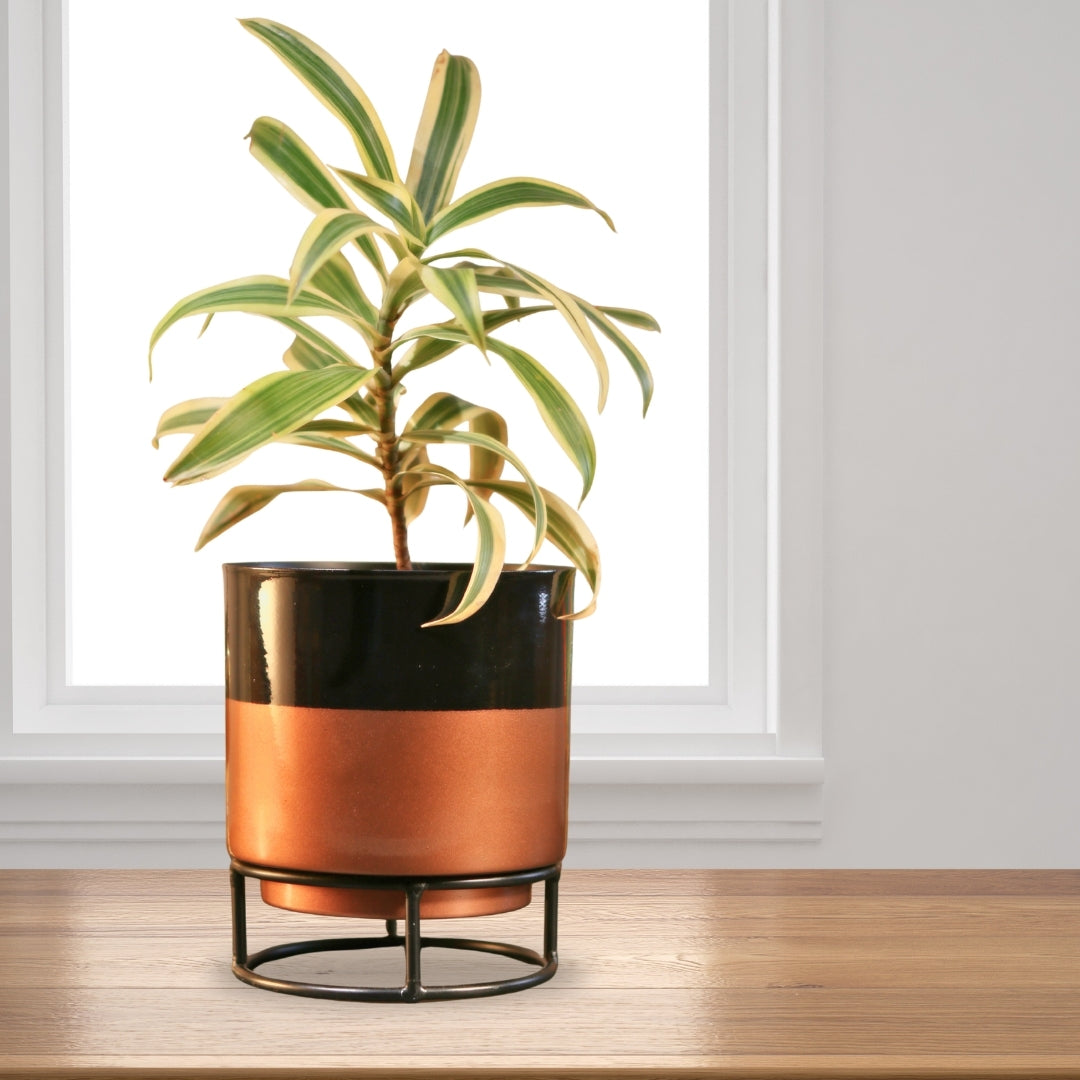 Royal Black and copper Powder Coated Metal Pot with stand - 5 inches(Only Pot)