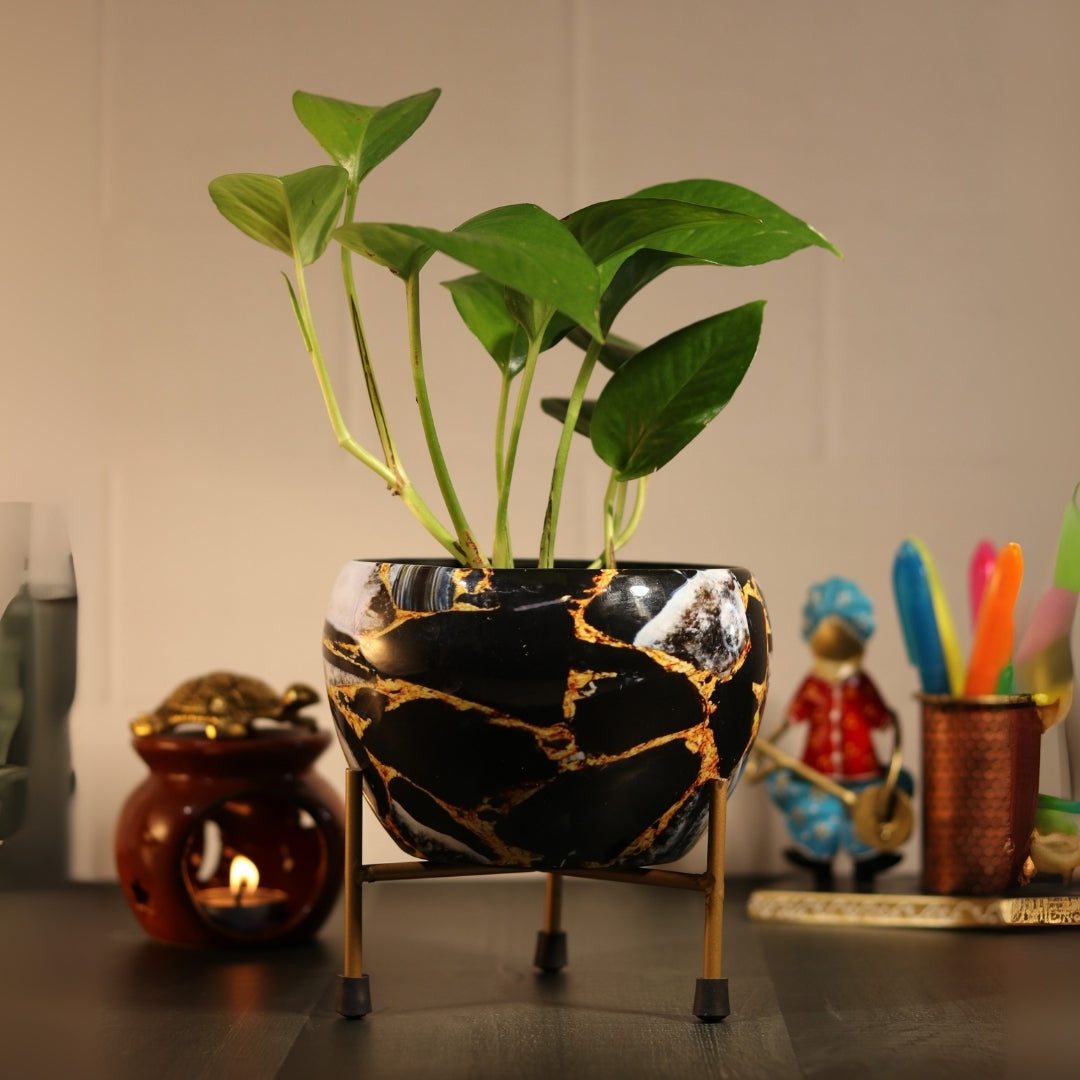 Black Gold Marble  Printed Metal Pot with stand- 5 inches
