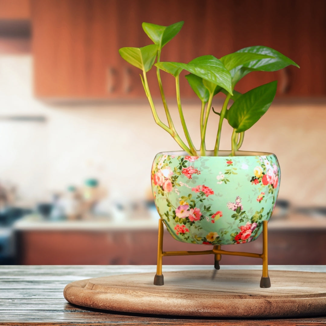 Elegant Blue Printed Metal Pot with stand- 5 inches