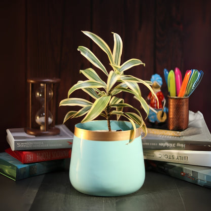 Sky Blue Powder Coated Metal Pot- 5 inches (Only Pot)