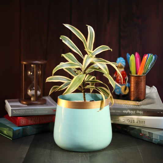 Sky Blue Powder Coated Metal Pot- 5 inches (Only Pot)