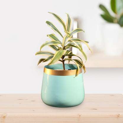 Sky Blue Powder Coated Metal Pot- 5 inches (Only Pot)