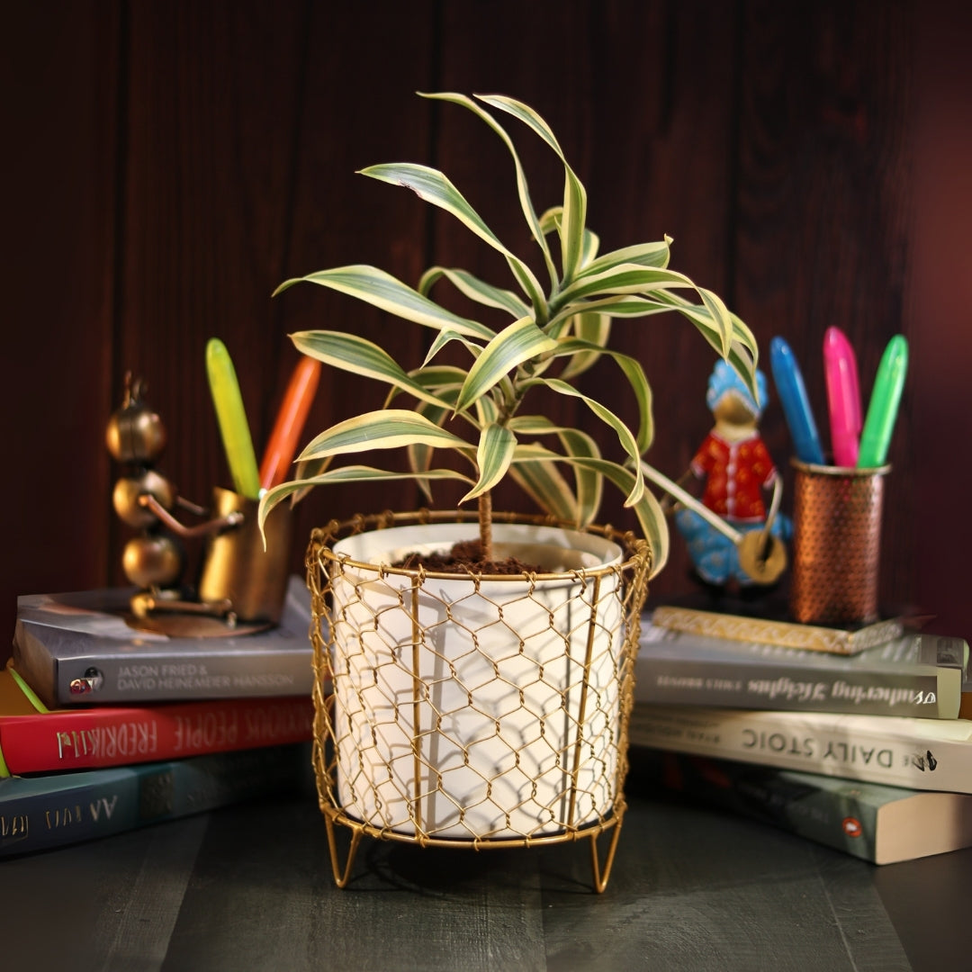 Golden Mesh Metal Pot with stand- 5.9 inches
