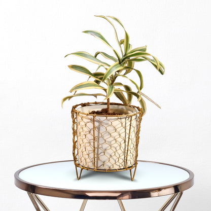 Golden Mesh Metal Pot with stand- 5.9 inches