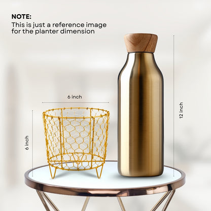 Golden Mesh Metal Pot with stand- 5.9 inches