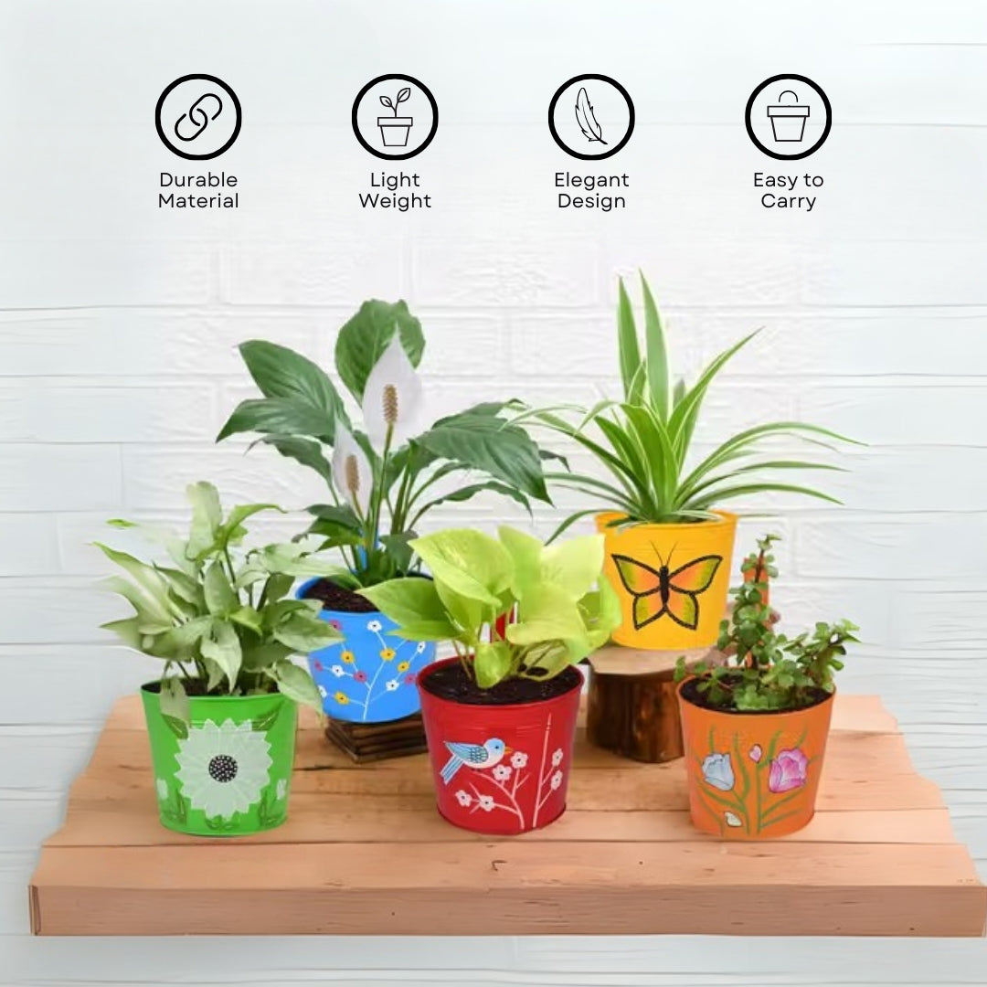 Digital Print Metal Iron Rust Proof Balcony Railing Hanging Flower Pots- Pack of 5