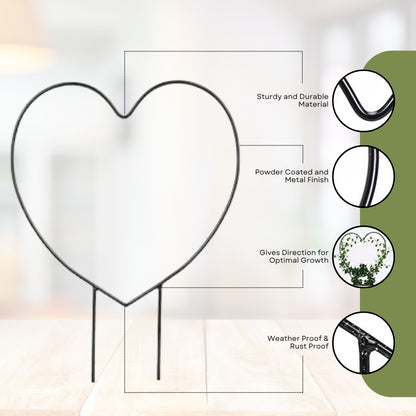 Decorative Heart Shape Planter Stand,Plant Supporter,Plant Climber,Plant Decor Plant straightener For Indoor and outdoor plants- Pack of 2