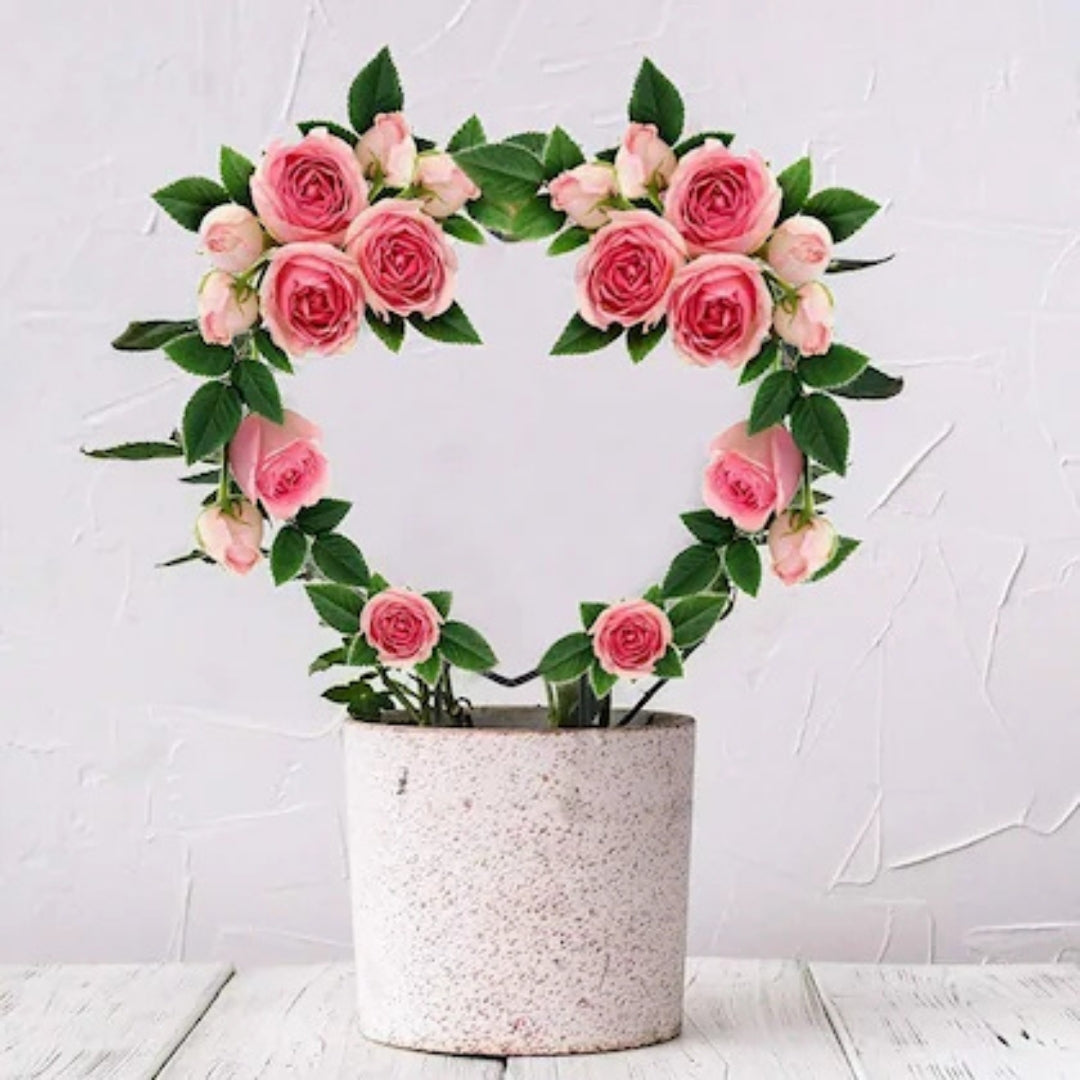 Decorative Heart Shape Planter Stand,Plant Supporter,Plant Climber,Plant Decor Plant straightener For Indoor and outdoor plants- Pack of 2