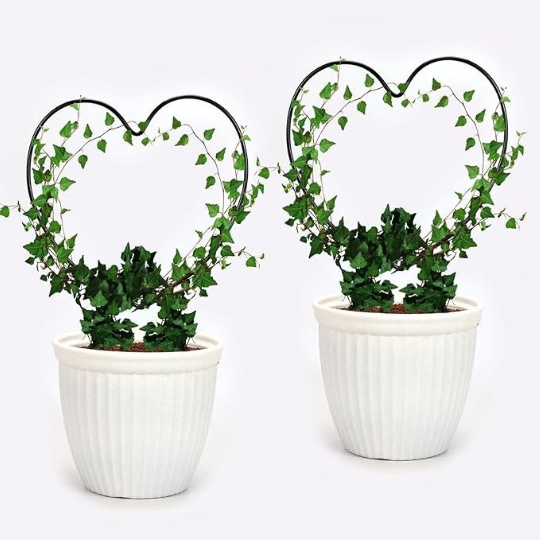 Decorative Heart Shape Planter Stand,Plant Supporter,Plant Climber,Plant Decor Plant straightener For Indoor and outdoor plants- Pack of 2
