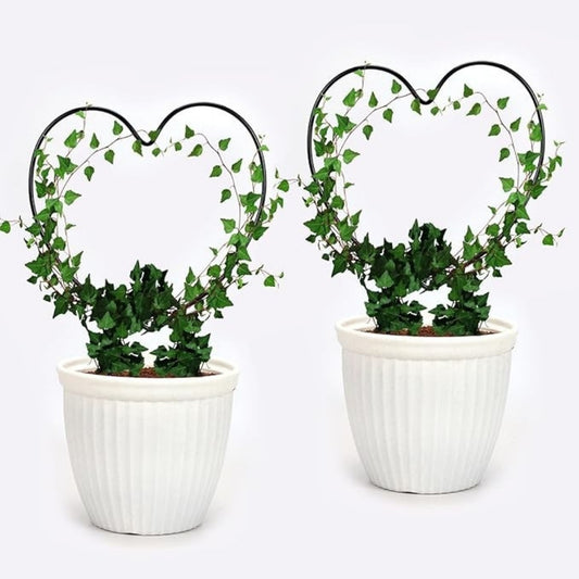 Decorative Heart Shape Planter Stand,Plant Supporter,Plant Climber,Plant Decor Plant straightener For Indoor and outdoor plants- Pack of 2