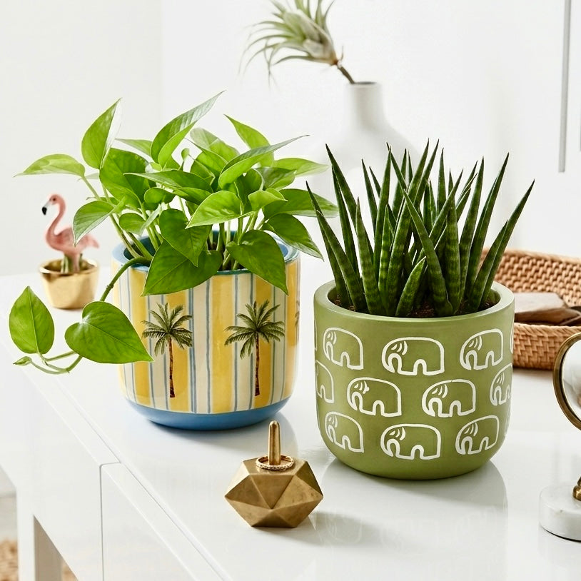 Terracotta Pots Pack of 2 (without plant)