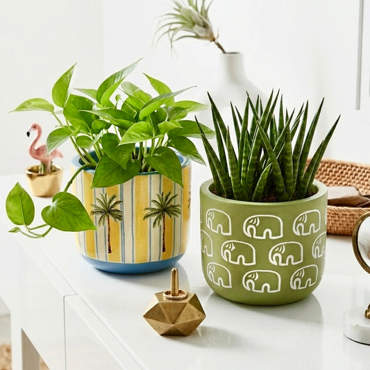 Terracotta Pots Pack of 2 (without plant)