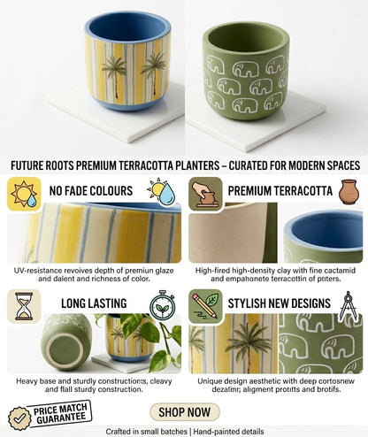 Terracotta Pots Pack of 2 (without plant)