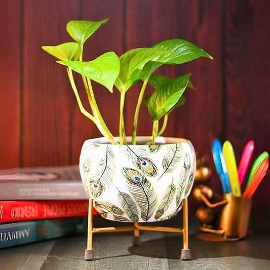 Peacock White  Printed Metal Pot with stand- 5 inches (Only Pot)