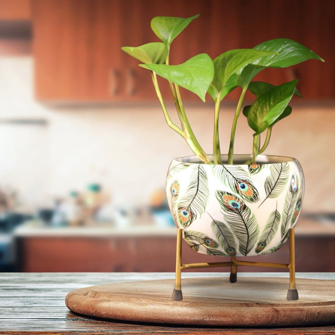 Peacock White  Printed Metal Pot with stand- 5 inches (Only Pot)