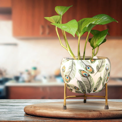 Peacock White  Printed Metal Pot with stand- 5 inches (Only Pot)