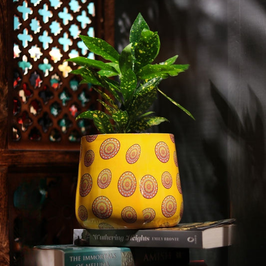Yellow Mandala Meena Metal Pot- 5 inches (Only Pot)