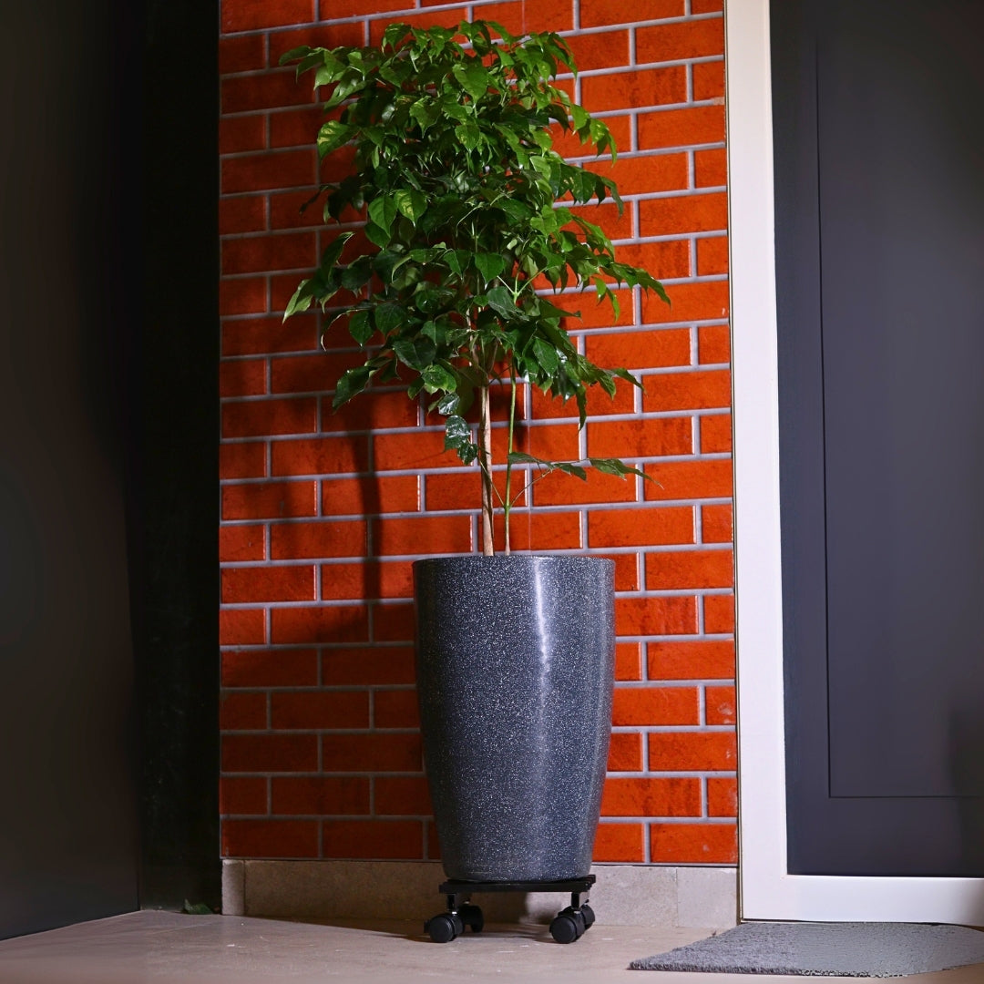 Heavy Duty Plant Stand with Wheels | Wheel Pot Trolley for Balcony, Indoor & Outdoor | Rust-Proof Metal Gamla Stand (Black) Pack of 4