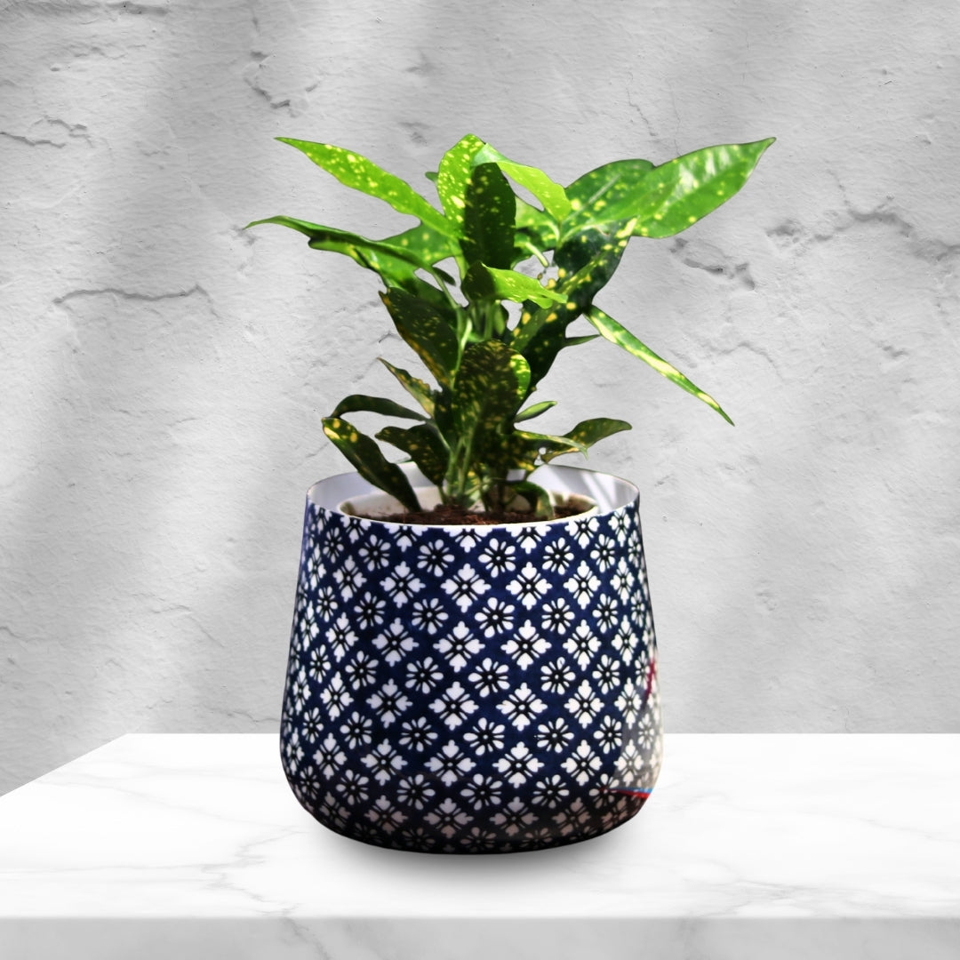 Navy Floral Meena Metal Pot- 5 inches (Only Pot)