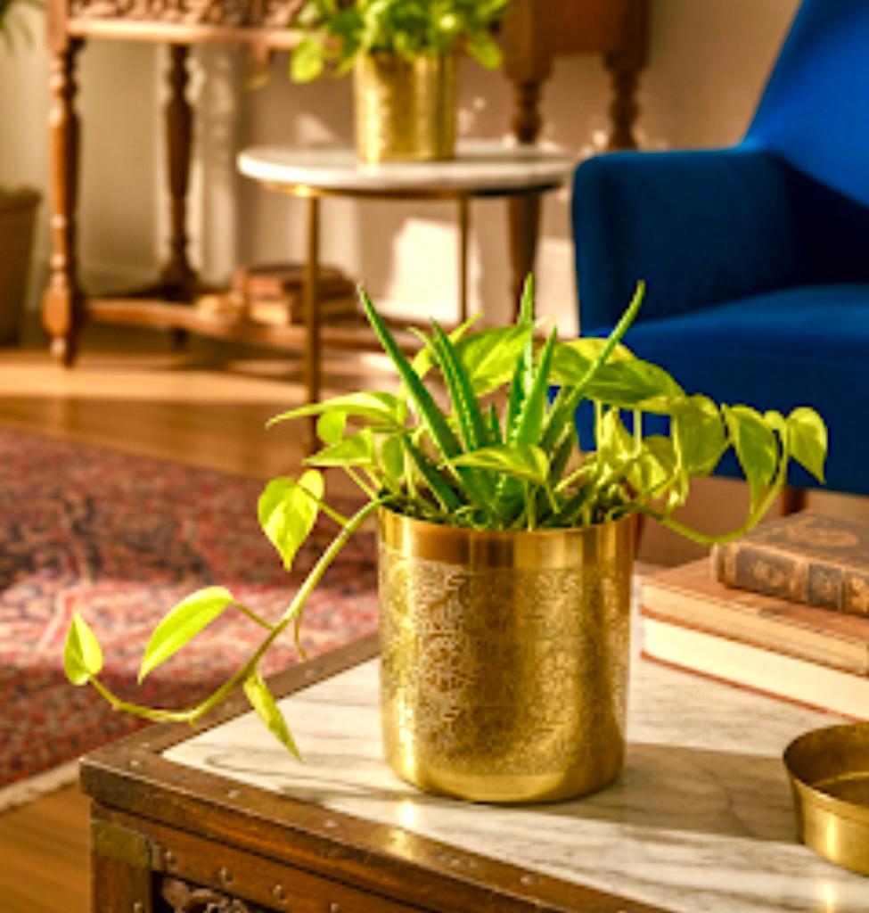 Premium Gold-Plated Floral Etched Metal Planter (Only Pot)