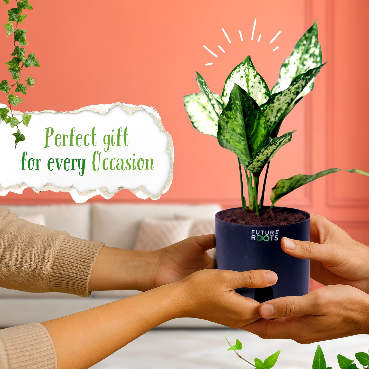 Snow White Aglaonema – Exotic Indoor Plant with White-Green Leaves (Low Maintenance, 4 Inch Pot)
