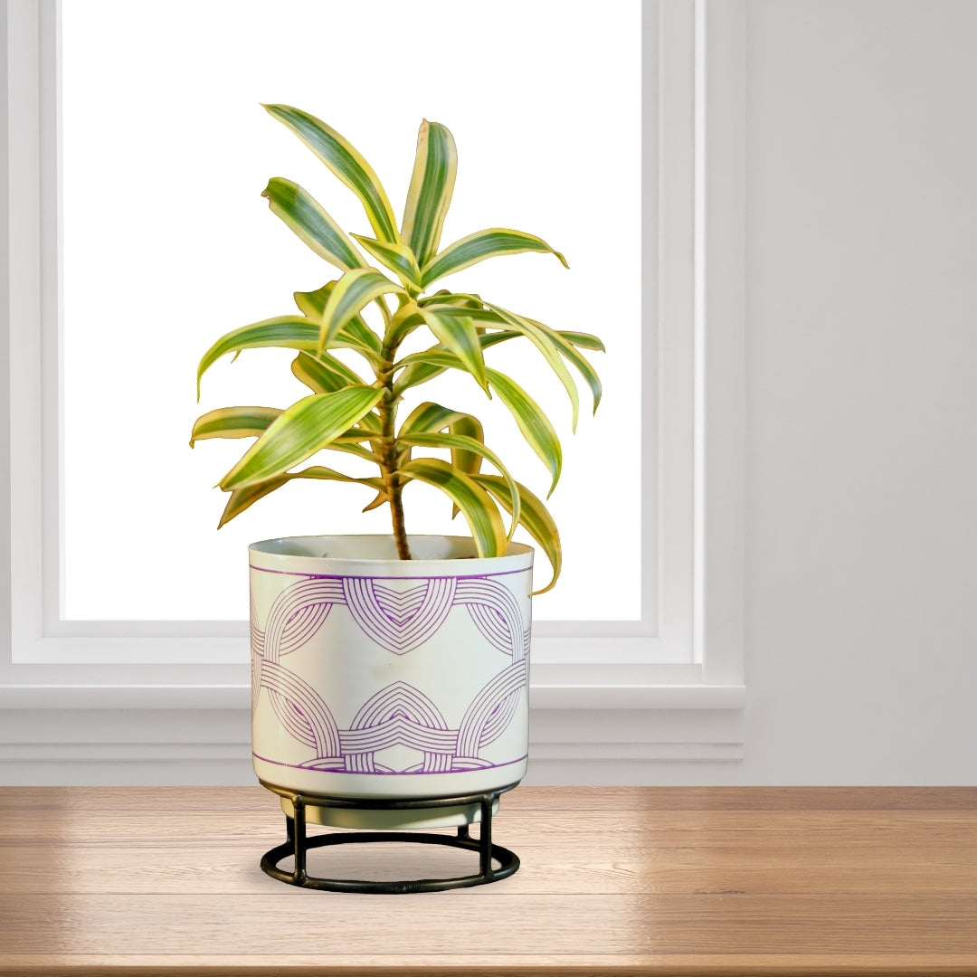 White Leaf Print Metal Pot with stand- 5 inch (Only Pot)