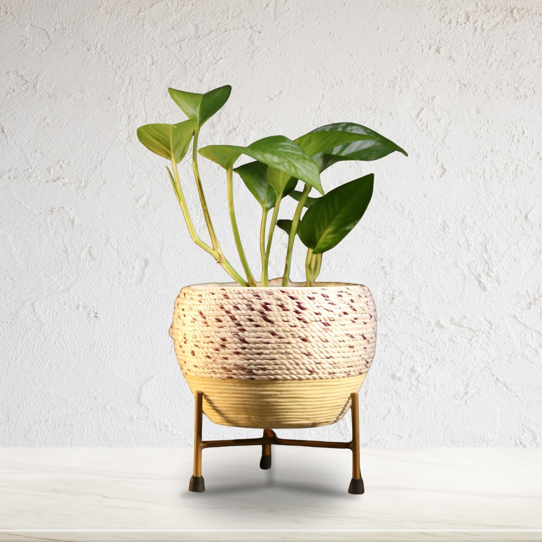 Beige Thread Woven Metal Pot with stand- 5.9 inches (Only Pot)