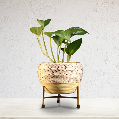 Beige Thread Woven Metal Pot with stand- 5.9 inches (Only Pot)